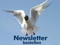 Newsletter bestellen